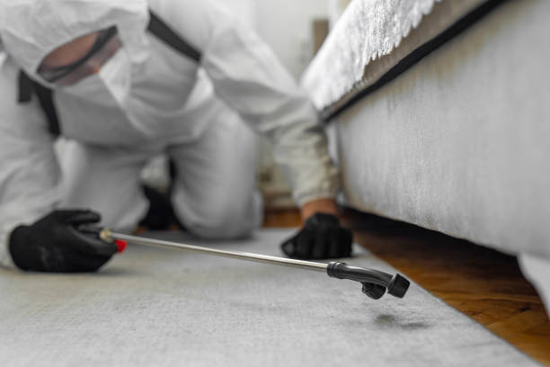 Professional Cockroach Control technician working in Huntsville, MO