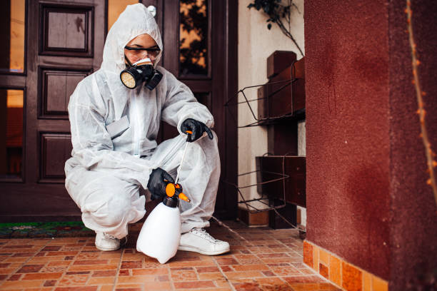 Reliable Cockroach Control contractor in Huntsville, MO by Nex Pest Control