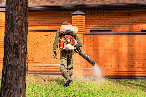 Trusted Termite Control service in Huntsville, MO - Nex Pest Control